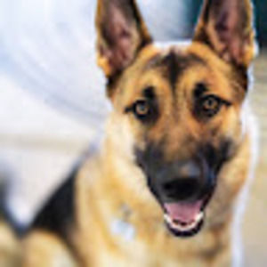 Meet your Posher, Alexis